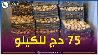 صورة وزارة الفلاحة: بداية توزيع البطاطا المخزنة على الأسواق