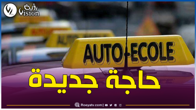 صورة قبل نهاية السنة.. هذا جديد رخصة السياقة