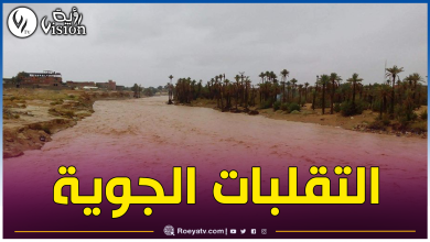 صورة النعامة.. إنقاذ 14 شخصا وإخراج عدة مركبات كانت عالقة