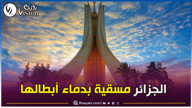 صورة وزارة الدفاع الوطني ترد.. إفتخر فأنت جزائري