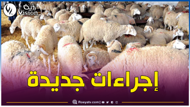 صورة وزير الفلاحة يوضح.. هذه أسباب عدم دخول المواشي للجنوب