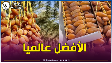 صورة “دقلة نور” الجزائرية تحتل صدارة أجود التمور عربيا وعالميا