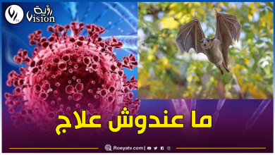 صورة منظمة الصحة العالمية تحذر من فيروس ليسا القاتل