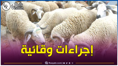 صورة غلق أسواق المواشي بولاية الجلفة