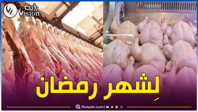صورة إستيراد 15 ألف طن دجاج و13 ألف طن من اللحوم الحمراء
