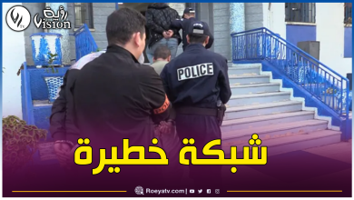 صورة البليدة.. القبض على 28 شخص في قضايا السرقة والتخريب العمدي