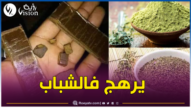 صورة عين الدفلى.. القبض على شاب يُخلط ويعجن “زعتر وحنة” ويبيعهم على أساس “زطلة”