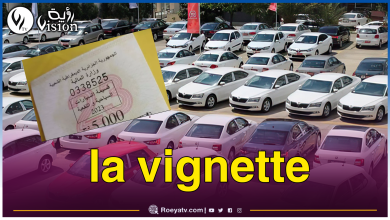 صورة بيع قسيمة السيارات بداية من السبت.. وهذه المركبات المعفاة