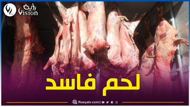 صورة الجلفة.. حجز وإتلاف 50 قنطار من اللحوم الحمراء مجهولة المصدر موجهة للبيع