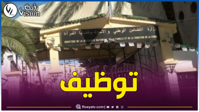 صورة وزارة التضامن تطلق مسابقة توظيف.. وهذه المناصب المتاحة