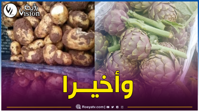 صورة قرار وزاري.. بيع الخضر والفواكه خالية من التربة والسيقان والأوراق غير الصالحة للإستهلاك