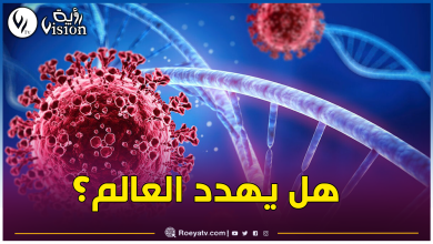 صورة إكتشاف فيروس كورونا في الخفافيش بالبرازيل