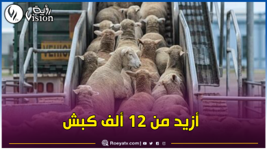 صورة باخرة محملة بأَضاحي العيد قادمة من إسبانيا ترسو بميناء تنس