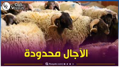 صورة إنطلاق عملية التسجيل.. مؤسسات وهيئات عمومية تقتني أضاحي العيد لموظفيها