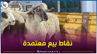 صورة هذه أماكن بيع الأضاحي المستوردة في ولاية بومرداس