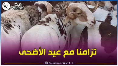صورة منع نقل هذا الصنف من الأبقار والماشية إلى الولايات الشمالية