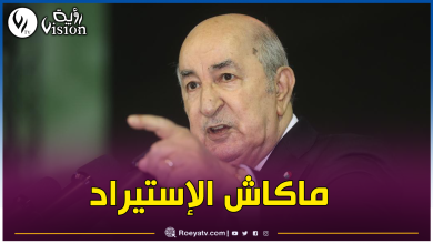 صورة رئيس الجمهورية يؤكد.. سنضبط أسعار البطاطا