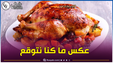 صورة دراسة تحذيرية جديدة موجهة لمُحبي الدجاج