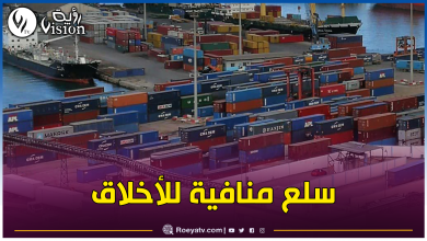 صورة ميناء وهران.. ضبط 20 حاوية مشبوهة بها سلع خطايرة تسيئ للقيم الدينية والوطنية