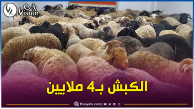 صورة بالصور.. إنطلاق عملية بيع الأضاحي المستوردة