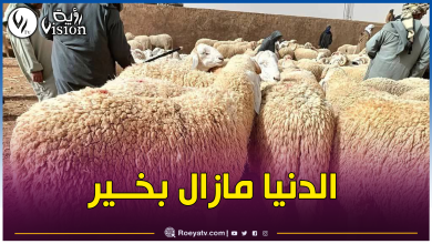 صورة تمنراست.. الكبش بـ3 ملايين والموالون يتنافسون من أجل ألّا يُحرم أحد من فرحة العيد