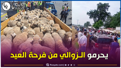 صورة أثرياء وأصحاب عقارات وسيارات فخمة يتزاحمون لإقتناء أضاحي العيد المستوردة!