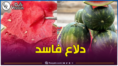 صورة منظمة “حمايتك” تحذر من بطيخ معالج بمواد مسرطنة