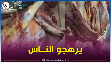 صورة البليدة.. حجز أزيد من 37 ألف كلغ من اللحوم المستوردة فاسدة وموجهة للبيع