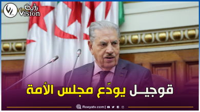 صورة إنتهاء العهدة الإنتخابية لصالح قوجيل.. قدمتُ كل ما استطعت لخدمة الجزائر وشعبها