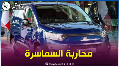 صورة أم البواقي: توقيف 4 أشخاص وحجز 6 سيارات فيات دوبلو موجهة للمضاربة