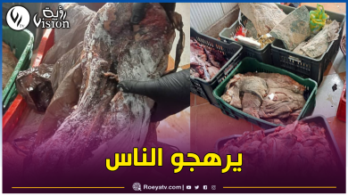 صورة سيدي بلعباس.. حجز 7 قناطير لحوم فاسدة موجهة للبيع