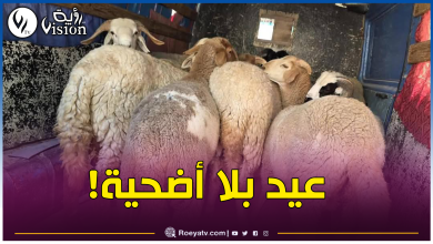 صورة غلق أسواق المواشي.. المخزن المغربي يستعمل القوة لإلغاء عيد الأضحى