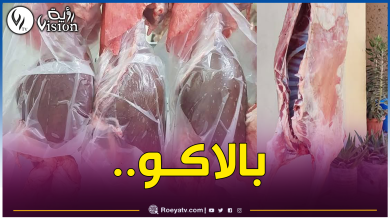 صورة حماية المستهلك تحذر من هذا الأمر عند نحر الأضحية