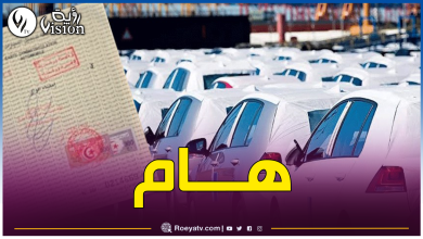 صورة جديد البطاقات الرمادية للمركبات المستوردة التي تقل عن 3 سنوات