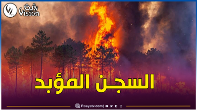 صورة عقوبات صارمة في حق المتورطين بإشعال النيران في الغابات