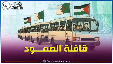 صورة إنطلاق قافلة تضامنية من الجزائر نحو غزة